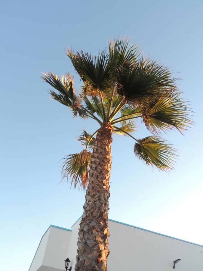 View , Beach House , By Mahbovillas Corralejo Exterior foto